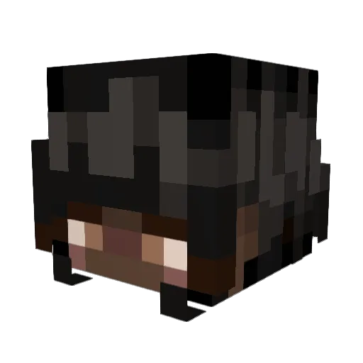 Minecraft-Avatar von microbiologia: Kopf als 3D-Render