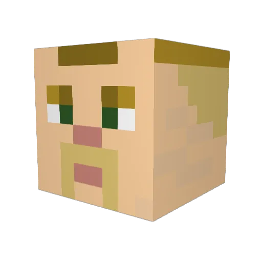 microsock5801 Minecraft avatar head, 3D render