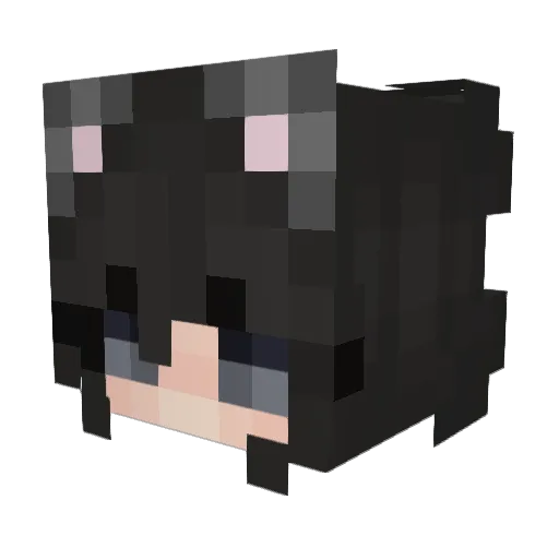 microwave_cat Minecraft avatar head, 3D render
