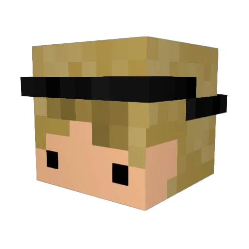 microwavers Minecraft avatar head, 3D render