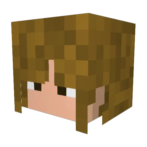 midas8 Minecraft avatar head, 3D render