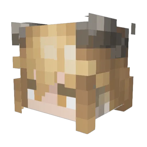 midleez Minecraft avatar head, 3D render