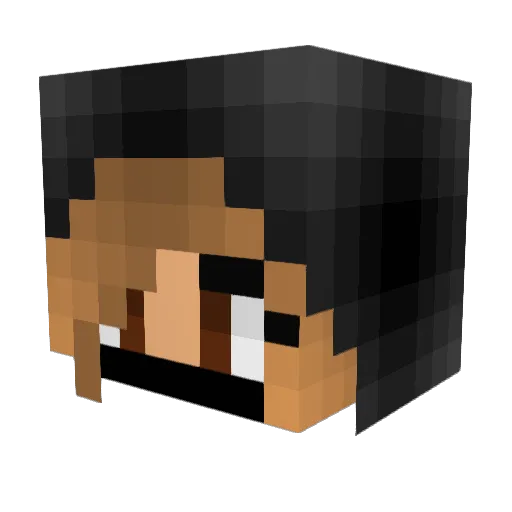 midnight15 Minecraft avatar head, 3D render