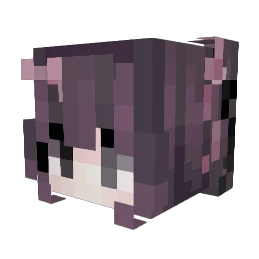 midnight_dust Minecraft avatar head, 3D render