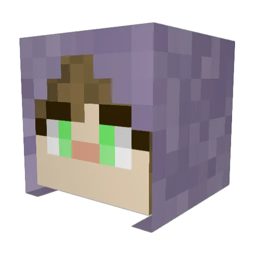 midnight_echos Minecraft avatar head, 3D render