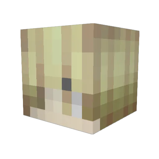 midnightschmoovn Minecraft avatar head, 3D render