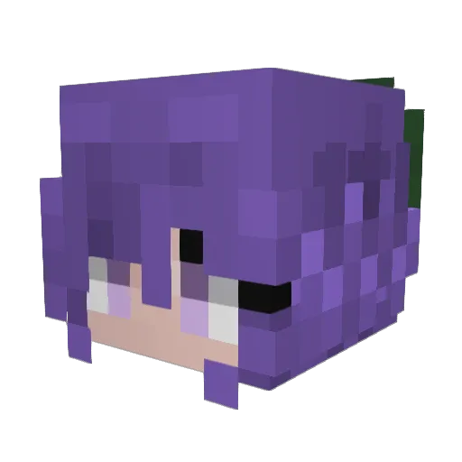 midnightwise Minecraft avatar head, 3D render