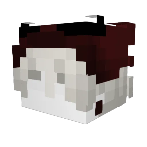 midnightwitness Minecraft avatar head, 3D render