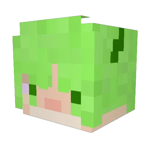 midomaru2525 Minecraft avatar head, 3D render