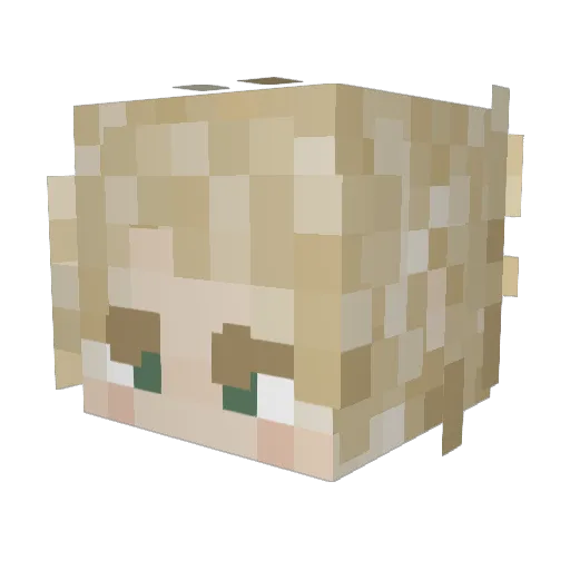 miesepiess Minecraft avatar head, 3D render
