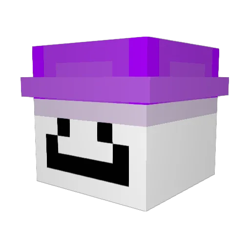 mieszko9 Minecraft avatar head, 3D render