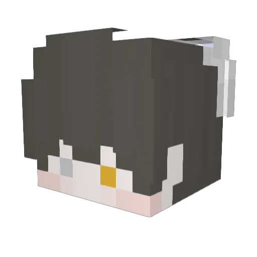 mig416 Minecraft avatar head, 3D render
