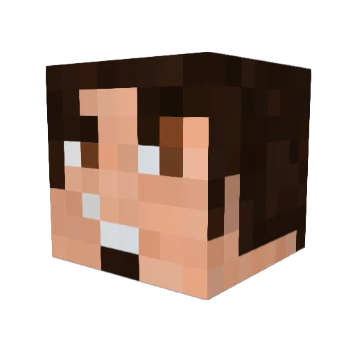 migetme1257 Minecraft avatar head, 3D render