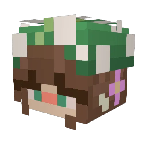 mighty0wl Minecraft avatar head, 3D render