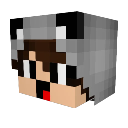 miguinho29 Minecraft avatar head, 3D render