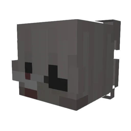 mihlfhunter Minecraft avatar head, 3D render