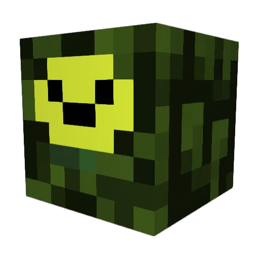 mii11234 Minecraft avatar head, 3D render