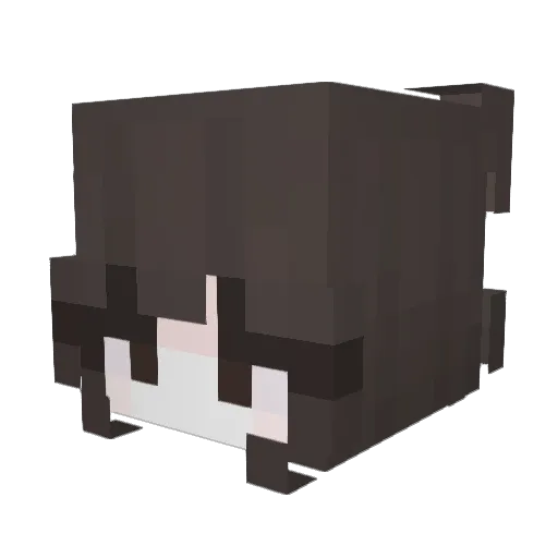 miicaela Minecraft avatar head, 3D render