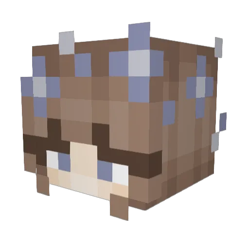 miiili Minecraft avatar head, 3D render