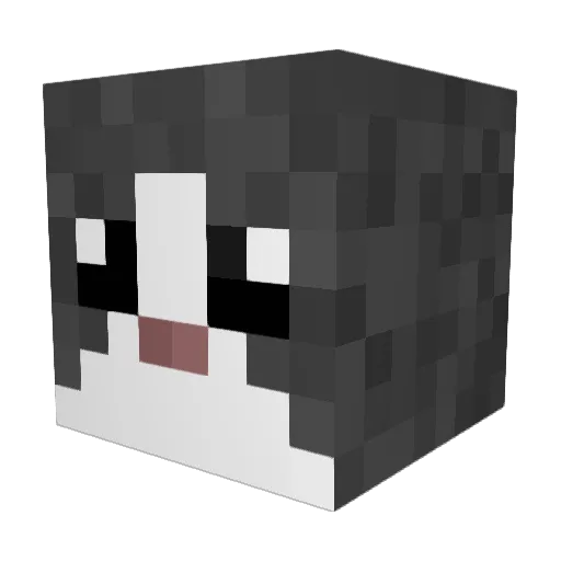 mik_pl Minecraft avatar head, 3D render