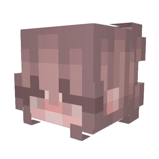 mikalovesferrets Minecraft avatar head, 3D render