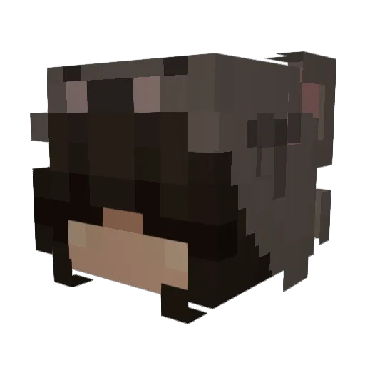 mikayla128 Minecraft avatar head, 3D render