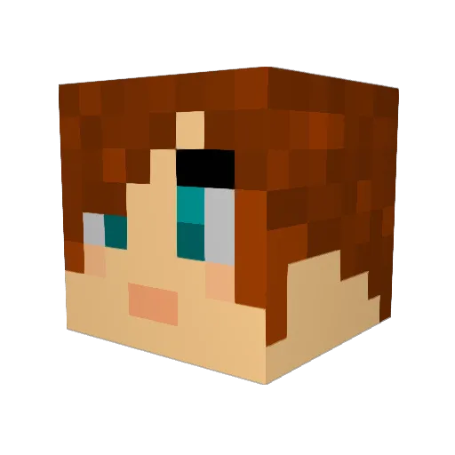 mike4591 Minecraft avatar head, 3D render