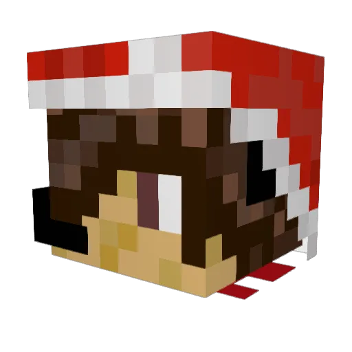 mikecarz1 Minecraft avatar head, 3D render