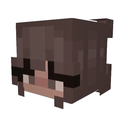 mikehawk1414 Minecraft avatar head, 3D render