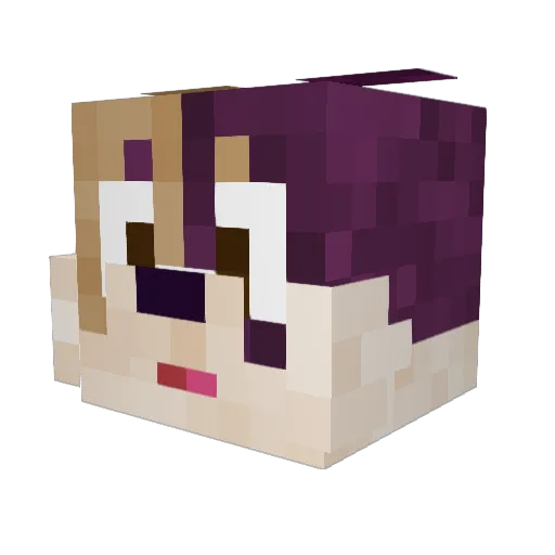 mikemikedog Minecraft avatar head, 3D render