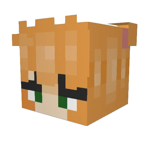 mikeymicmac Minecraft avatar head, 3D render