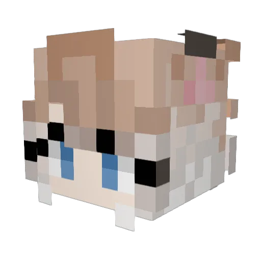 mikiwii Minecraft avatar head, 3D render