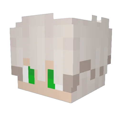 mikkel135 Minecraft avatar head, 3D render