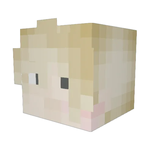mikkyd656 Minecraft avatar head, 3D render