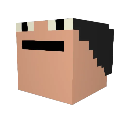 mikkyler Minecraft avatar head, 3D render
