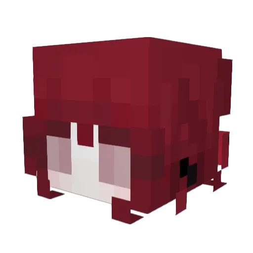 mikrelys_cat Minecraft avatar head, 3D render