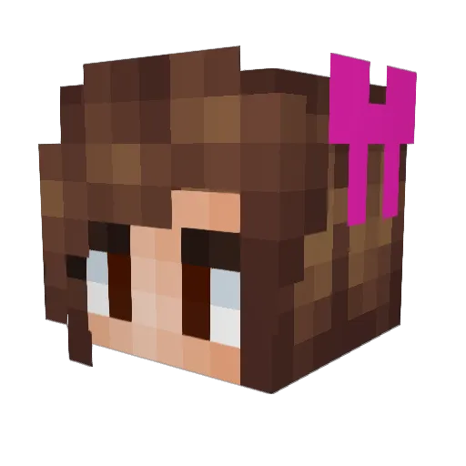 mikstargazer Minecraft avatar head, 3D render