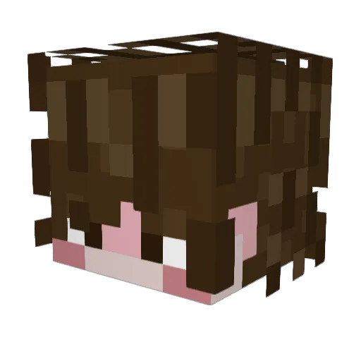 mildnus Minecraft avatar head, 3D render