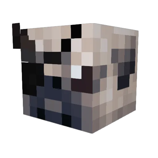 milkpatties Minecraft avatar head, 3D render