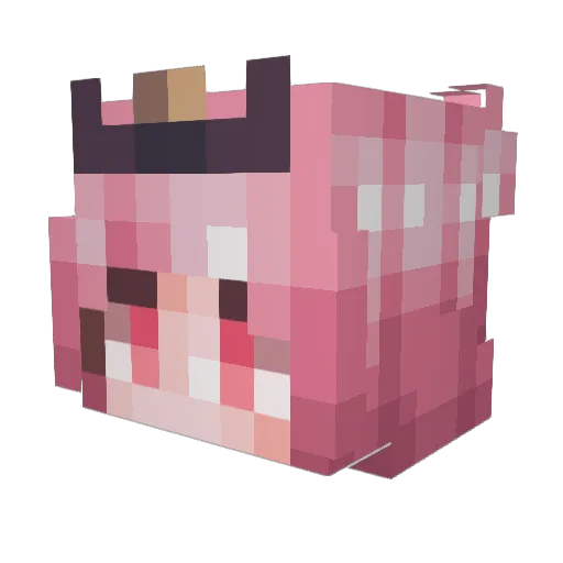 miller1289 Minecraft avatar head, 3D render