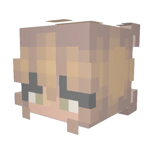 milliemeter Minecraft avatar head, 3D render