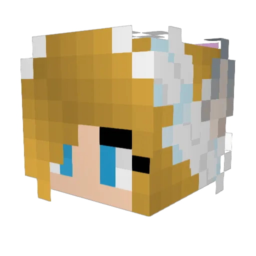 millis1234 Minecraft avatar head, 3D render