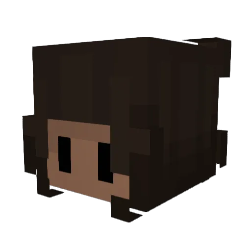 millvill3 Minecraft avatar head, 3D render
