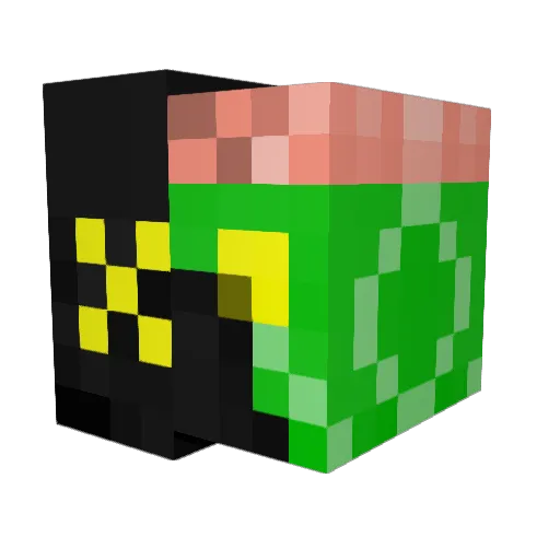 milo2206 Minecraft avatar head, 3D render