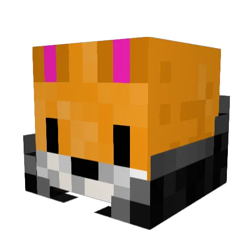 mily2155 Minecraft avatar head, 3D render