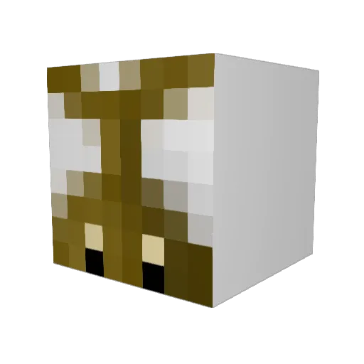 milynice Minecraft avatar head, 3D render