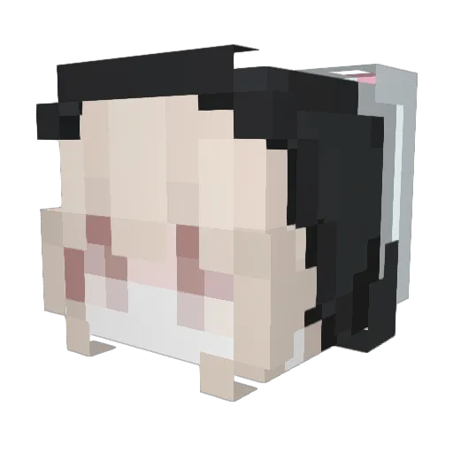 mimax250 Minecraft avatar head, 3D render