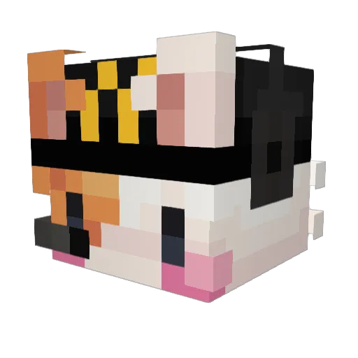 mimbbi Minecraft avatar head, 3D render