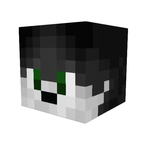 mimidoktor2010 Minecraft avatar head, 3D render