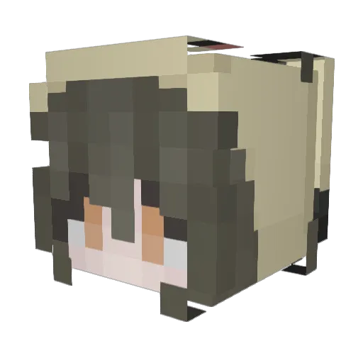 mimikyumochi Minecraft avatar head, 3D render
